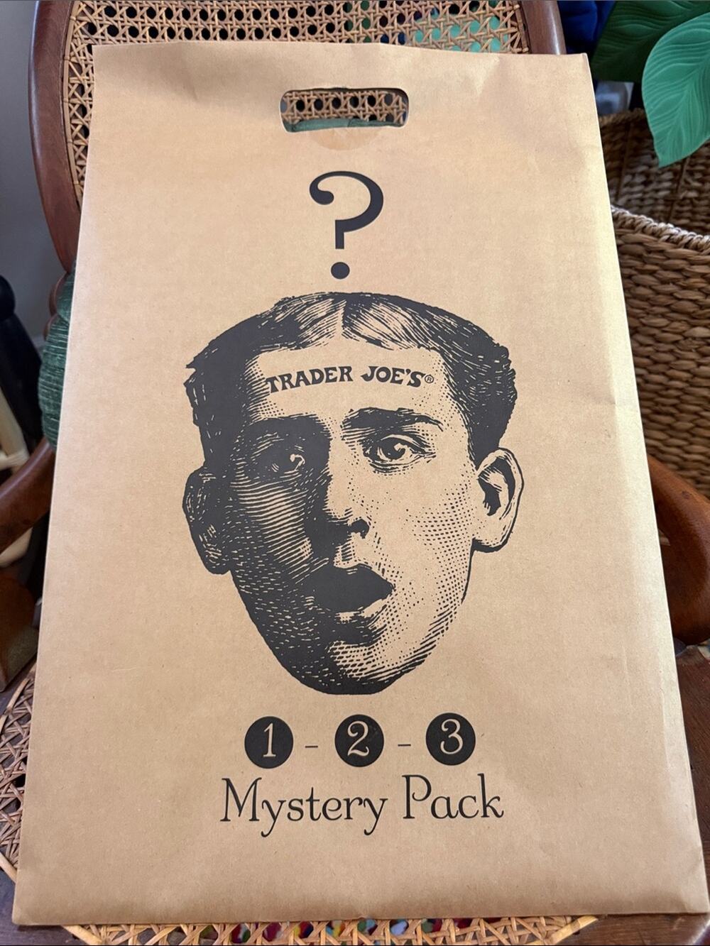 NIP Trader Joe’s Collectible Mystery Bag Reusable Tote Package
